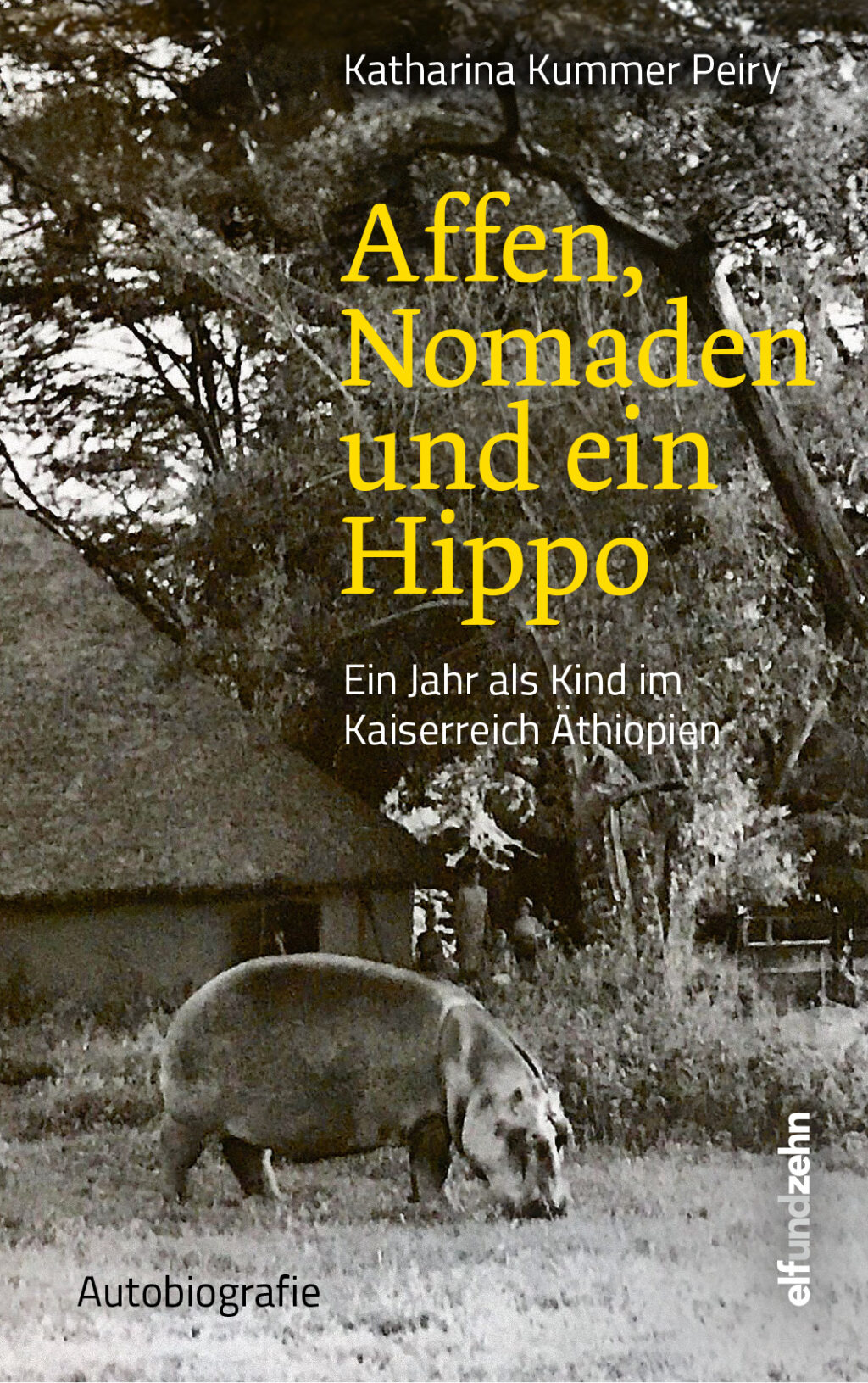 Nomaden Affen und ein Hippo Cover